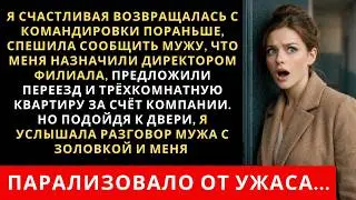Я счастливая спешила домой обрадовать мужа повышением. Но подойдя к двери услышала такое