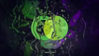 Avar Garden - Silenth city (Original Mix) [AREA VERDE]