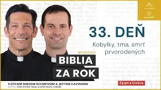 Deň 33: Kobylky, tma, smrť prvoroden&yacute;ch &mdash; Biblia za rok (s otcom Mikeom Schmitzom)