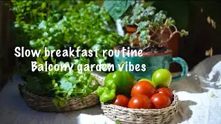 Easy Healthy Breakfast Ideas | green 🌱 smoothie | tofu scramble | garden on the balcony🪴 