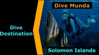 Diving Solomon Islands,Dive Munda, Destination Spotlight for Scuba.Digital The #1 Online Dive Show