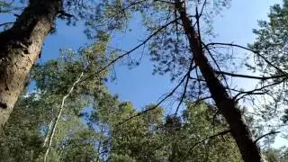 Ulefone Gemini Pro 4k video test