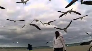 Birdman and Cheetohs