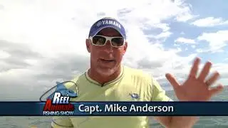 Yellowfin Tuna with Pro Marine Fishing Team out of Venice, Louisiana