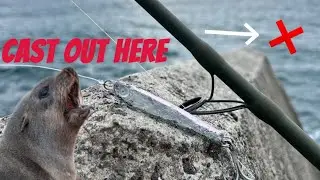 NSW BREAKWALL FISHING - DANGEROUS ENCOUNTER