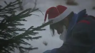 Scattering Walrus - Snowflakes
