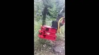 Zwicki im Einsatz
