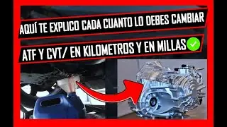 Cada CUANTO Se CAMBIA El ACEITE De CAJA AUTOMÁTICA ✅GUIA DEFINITIVA✅