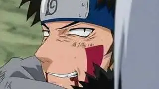 kiba&acute;s the best!!!!!!!!!!