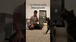 Islamophobic Cat? Funny Convert | The Muslim Perspective #islam #muslimtiktok #convert #muslim