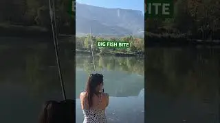 BIG fish BITES #summer #fishing #fish #lake #fishingvideo #reels #viral #fyp #hobby #pesca #france