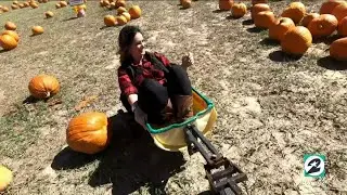 Fun at Dewberry Farms in Brookshire, Texas | HOUSTON LIFE | KPRC 2