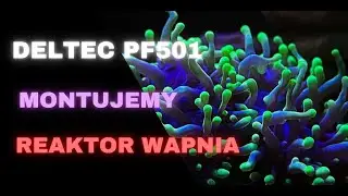 Reef Design | Budowa fragtank&oacute;w | Reaktory wapnia Deltec PF501 | odc. 11