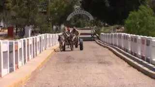 Chulucanas - Mi China Cholita
