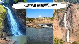Jungle Safari In SIMILIPAL NATIONAL PARK @DISCOVERWITHJAY Adventure | Off-Road | Wildlife