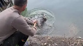 Concours GiantTrout 2020