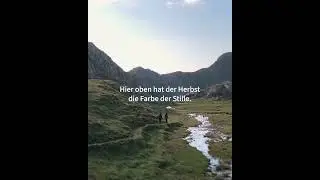 Wilde Stille am Schwarzsee 🌲 | F&uuml;r echte Naturmenschen