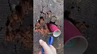 ПЕТАРДА KING KONG ОЧЕНЬ МОЩНАЯ