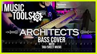 Architects - Animals | Bass Cover | Styfler Fonsek
