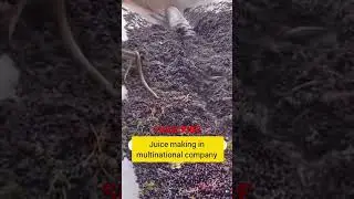 SNAKES FOUND AT JUICE FACTORY #snake #wildlife #factory #life #news #juice #trending #venomsnake