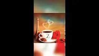 Z  letters WhatsApp status