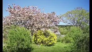 Virtual tourof Koanga Spring 2021