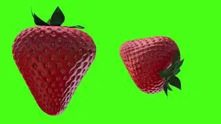 Strawberry Green Screen [ NO COPYRIGHT ]