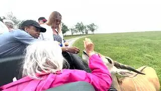 SOAR Trip - Safari Adventure at Lake Tobias Wildlife Park