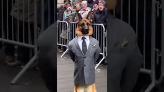 CEO DOG RUNS THE PARADE