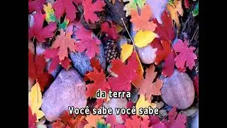15743 - Ronaldo Resed&aacute; - PLUMAS E PAET&Ecirc;S -==Karaoke&ndash;Videoke &ndash; Playback - Raf electronics