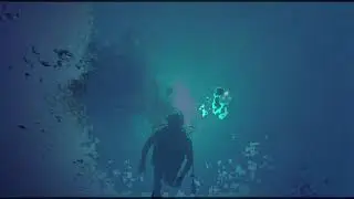 Green Hands - Wunderbug (Official Video)