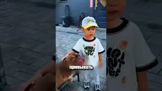 как ребёнок спас одинокого бульдога