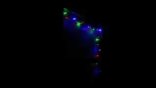 20 LED Multicolor Fairy Lights in action