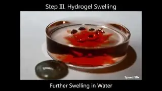 High-performance 3D printing of hydrogels by water-dispersible photoinitiator nanoparticles