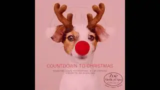 COUNTDOWN TO CHRISTMAS