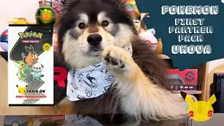 Pokemon First Partner Pack UNOVA Opening