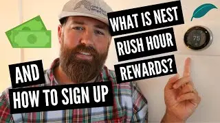 What Is Nest Rush Hour Rewards?