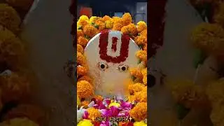 Ramapir Darshan Ramdevra 🙌😍 | WhatsApp status | #ramapir #bhajan #rajasthan #ramdevra #shorts