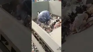 Old clothes shredder，Waste cloth shredder，Plastic Crusher #manufacturing #automobile #machine