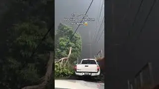 Video footage of beginning of Maui Lahaina firestorm, minutes before Lahaina was completely destoyed