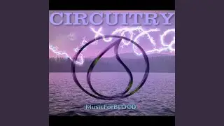Circuitry