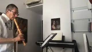 J. S. Bach, Gollberg Variationen n. 24, for alto recorder