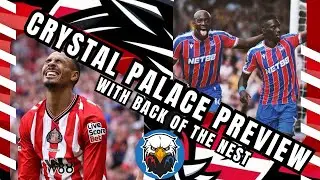Crystal Palace Match Preview with Back Of The Nest | Black Cats tread where Eagles Dare