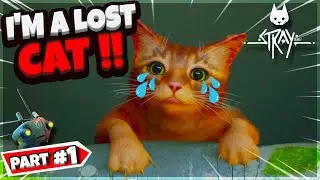 THE CAT ADVENTURE BEGINS | STRAY - THE CAT GAME (HINDI)