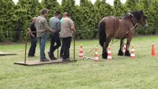 trait du nord dirac et francois  genech traction 2016 193 sur 200