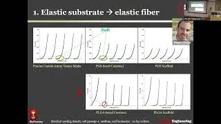 Yadong Wang: Biomaterials research at the BioFoundry