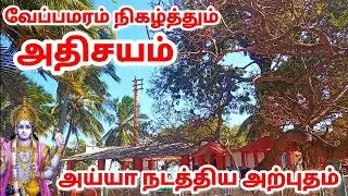 ஐந்துதலை நாகம்போல் காட்சிதந்து வேப்பமரம் நடத்தும் அதிசயம்|அய்யா நடத்திக்காட்டிய அதிசய காண்போமா வாங்க