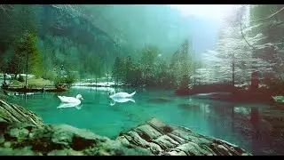Soothing Music to Calm Your Mind 🌿 Stress-Free Relaxation #Relax #Nature