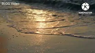 blog video background music video music video music Show