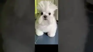 Mama ja pupsik privet pupsik 💀